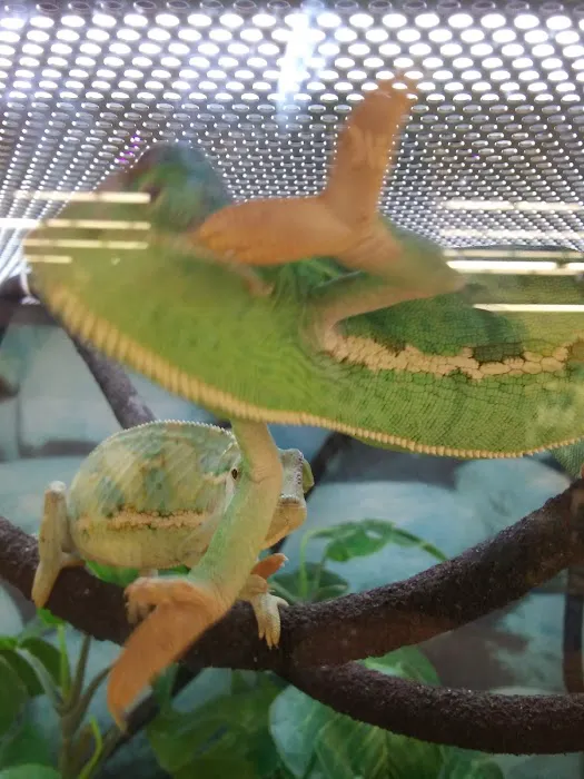 Petco Picture 9