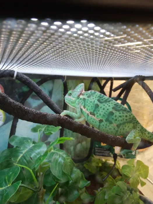 Petco Picture 6