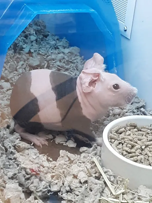 Petco Picture 10
