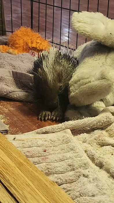 Reptile Junction Picture 4