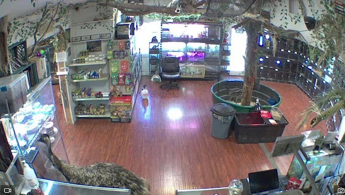 Reptile Junction Picture 9