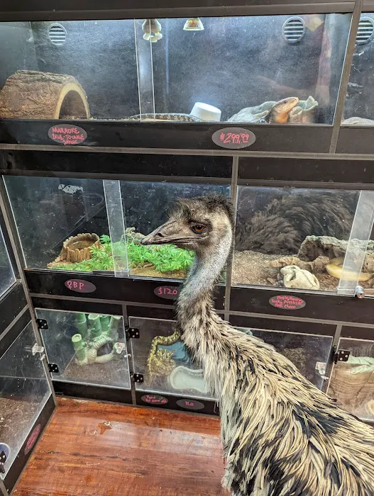 Reptile Junction Picture 8