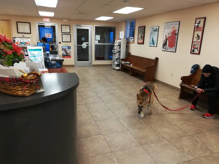 Leck Veterinary Picture 5