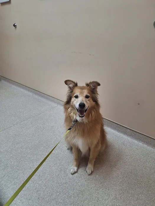 Leck Veterinary Picture 4