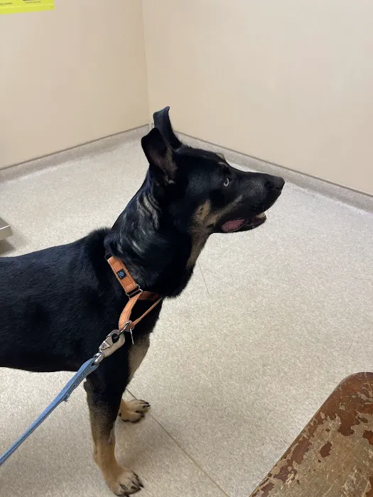 Leck Veterinary Picture 6