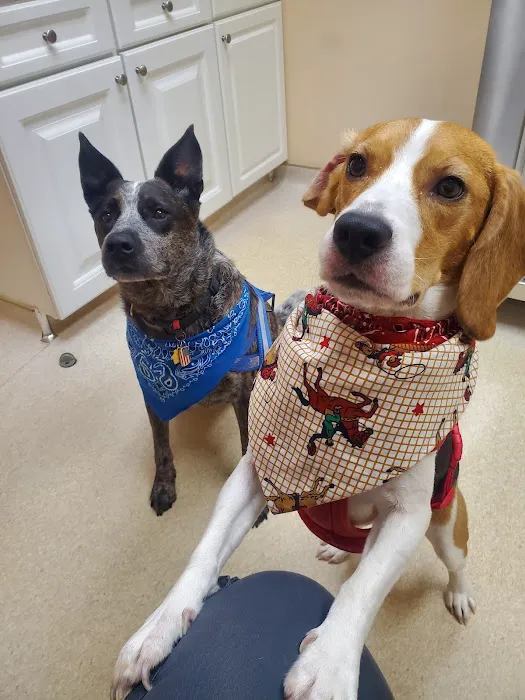 Leck Veterinary Picture 8