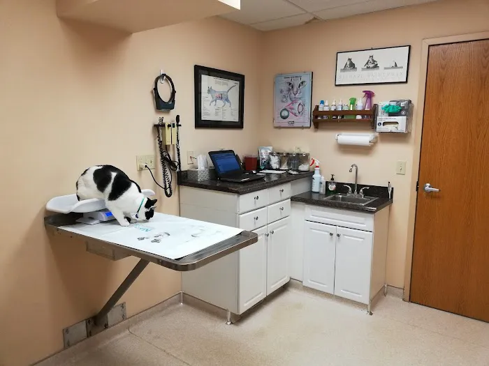 Leck Veterinary Picture 9