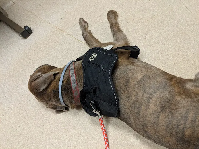 Leck Veterinary Picture 7