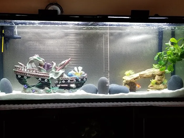 Desert Tropical Aquatics Picture 1