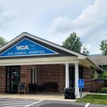 VCA AVH Animal Hospital