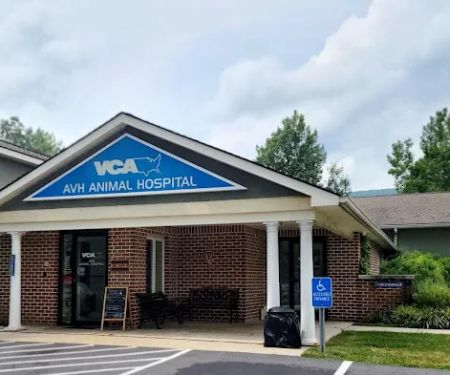 VCA AVH Animal Hospital