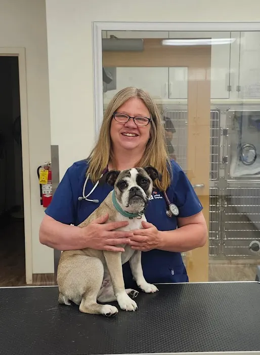 VCA AVH Animal Hospital Picture 8
