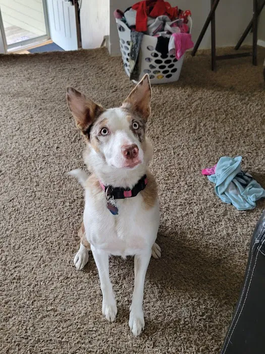 Nora Jane's Pet Supply Picture 10