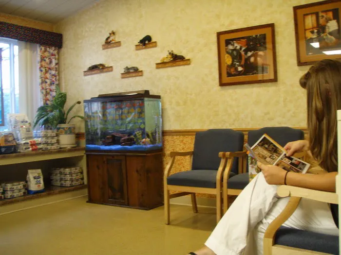 Animal Hospital of Mt. Pocono Picture 10