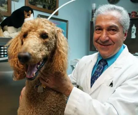 All Pets Dental Care & Oral Surgery