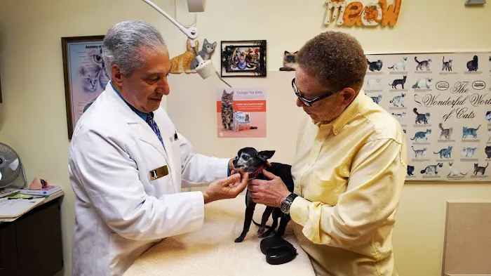 All Pets Dental Care & Oral Surgery Picture 4