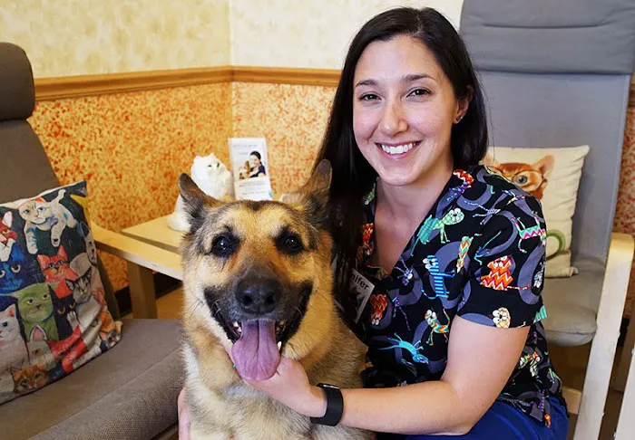 All Pets Dental Care & Oral Surgery Picture 5