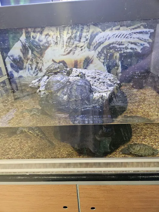 Petco Picture 4