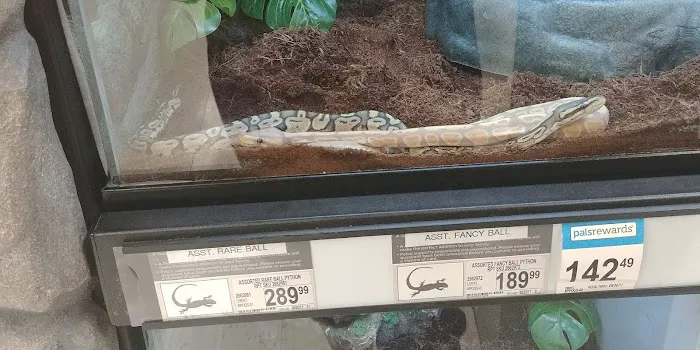 Petco Picture 10