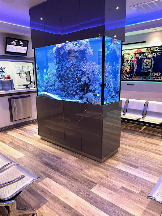 ReefLife Picture 2