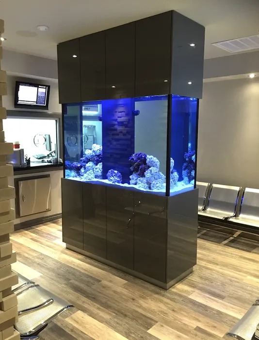 ReefLife Picture 3