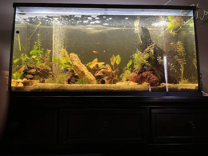 TK Aquatics Picture 6