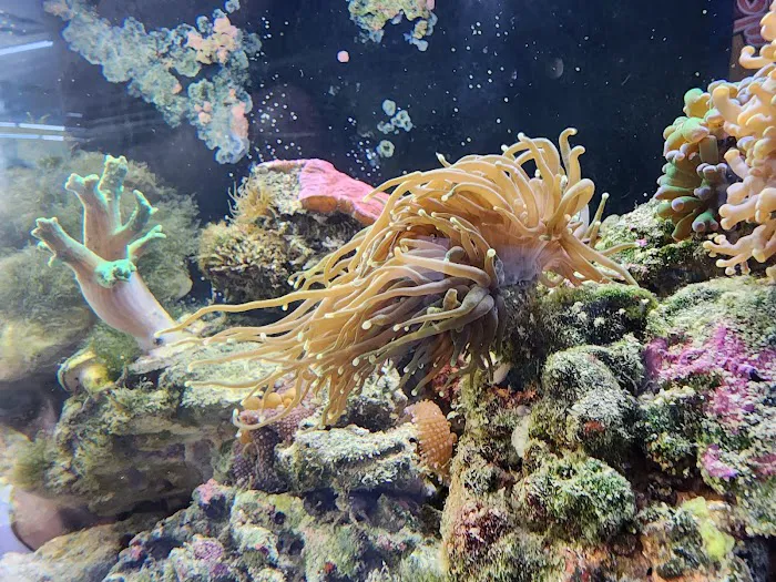 TK Aquatics Picture 10