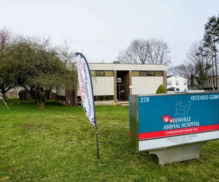 Denville Animal Hospital