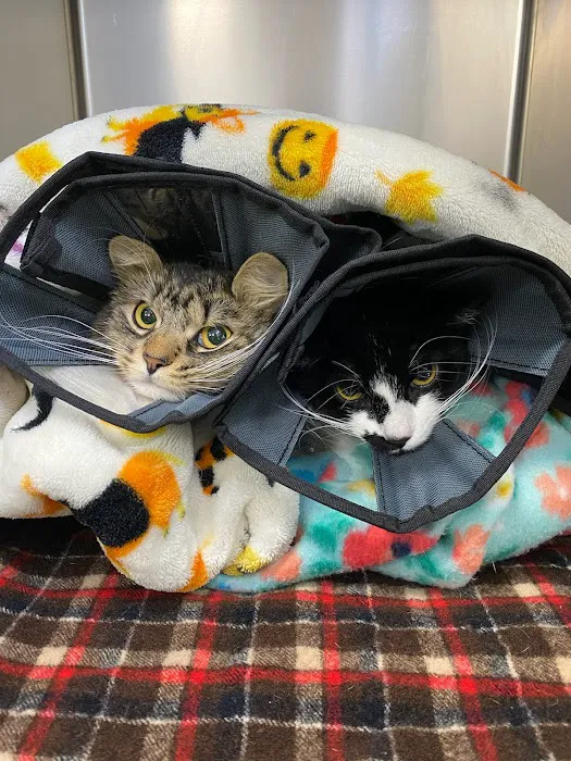 Denville Animal Hospital Picture 2