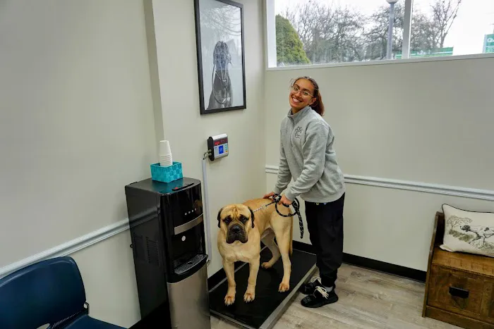Denville Animal Hospital Picture 5