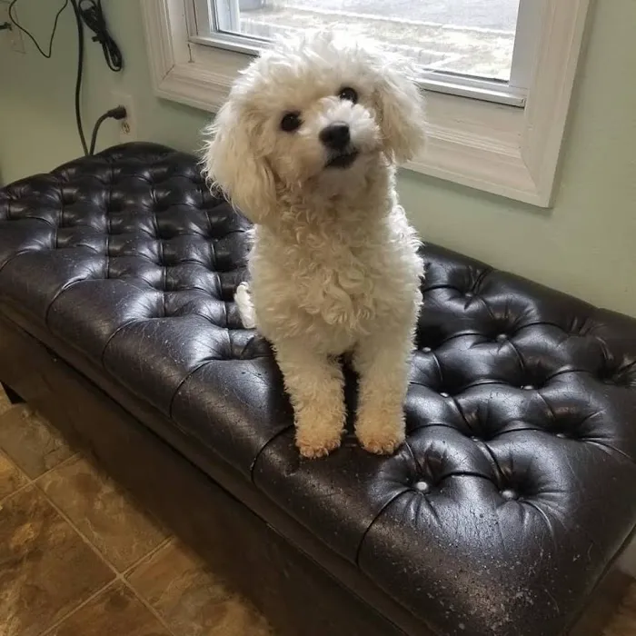 Denville Animal Hospital Picture 10