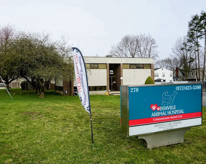 Denville Animal Hospital Picture 8