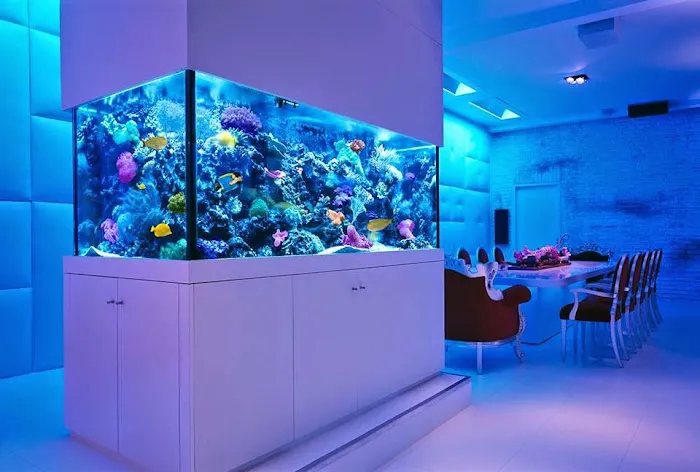 Ultimate Reefs & Aquariums Picture 5