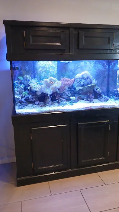 Ultimate Reefs & Aquariums Picture 8