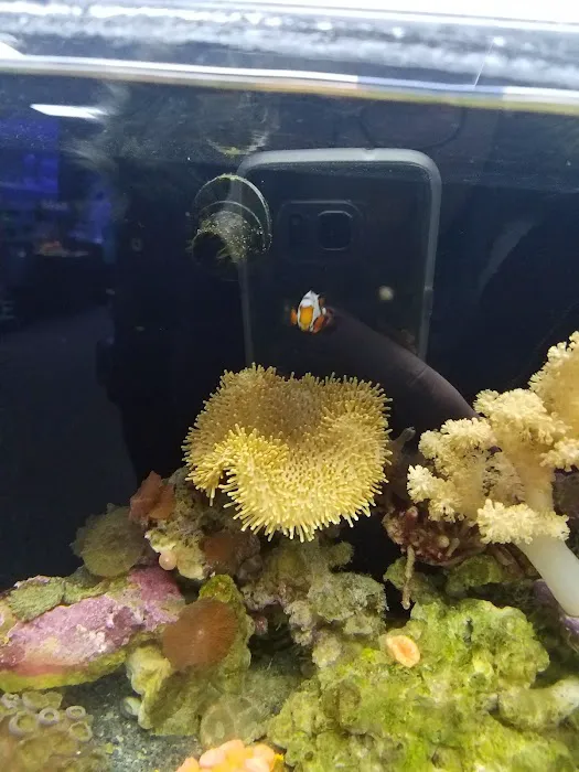Ultimate Reefs & Aquariums Picture 9