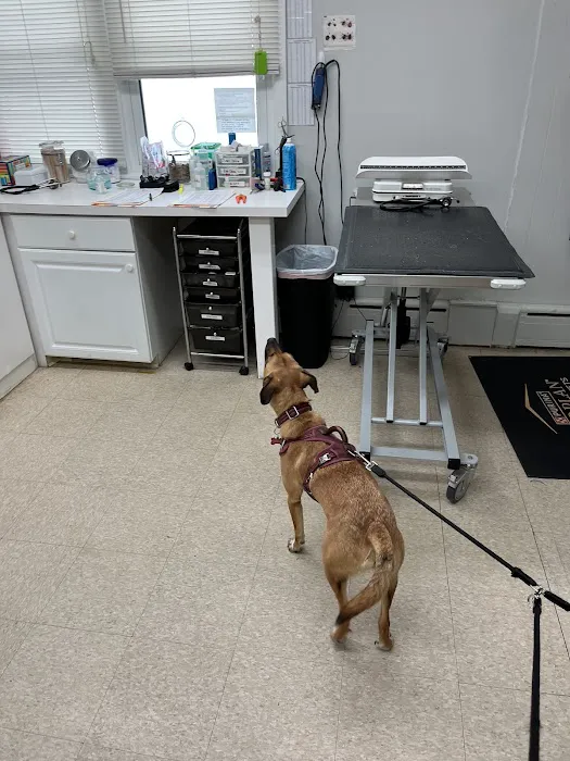 Green Pond Animal Care Center Picture 6