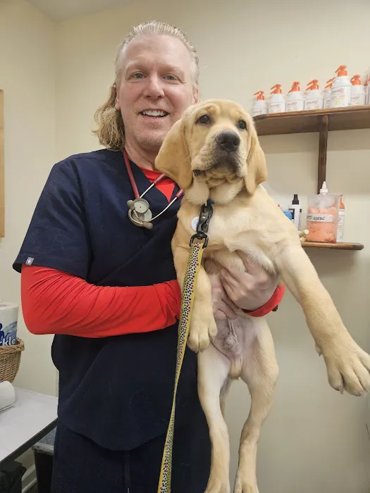 All Creatures Great and Small Animal Hospital and Urgent Care Picture 8