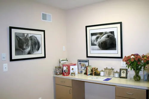 MountainView Veterinary Hospital Picture 1