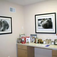 MountainView Veterinary Hospital ico