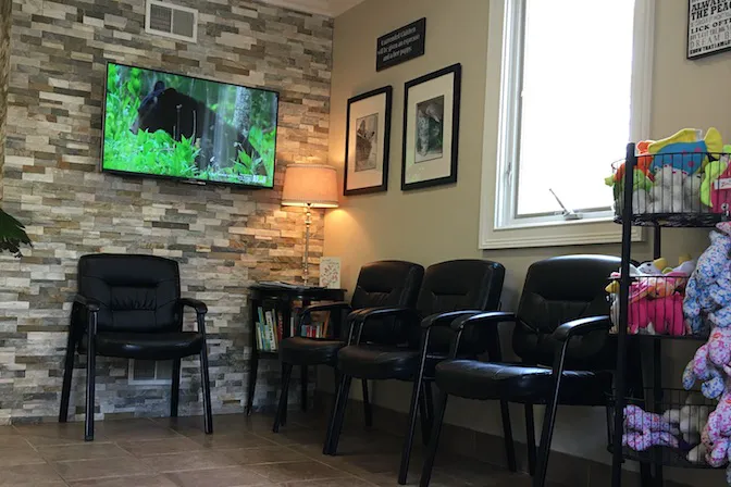 MountainView Veterinary Hospital Picture 6