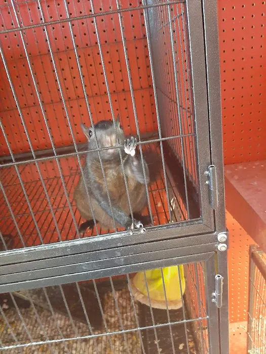 Adam's Pet Shop Picture 5