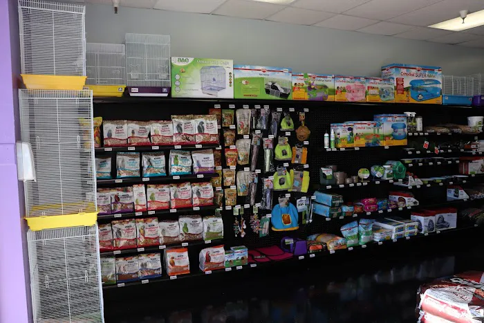 Adam's Pet Shop Picture 7