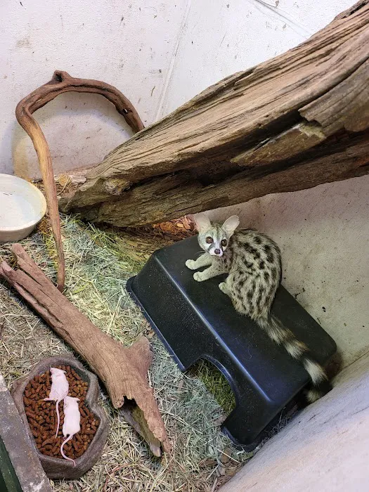 Adam's Pet Shop Picture 8