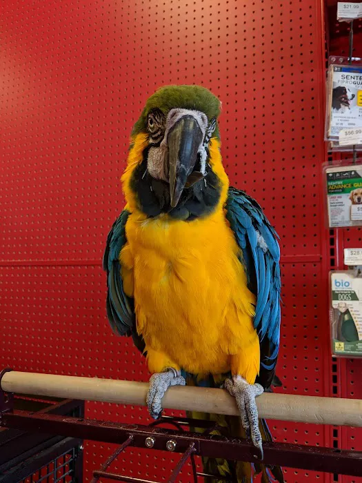 Adam's Pet Shop Picture 9