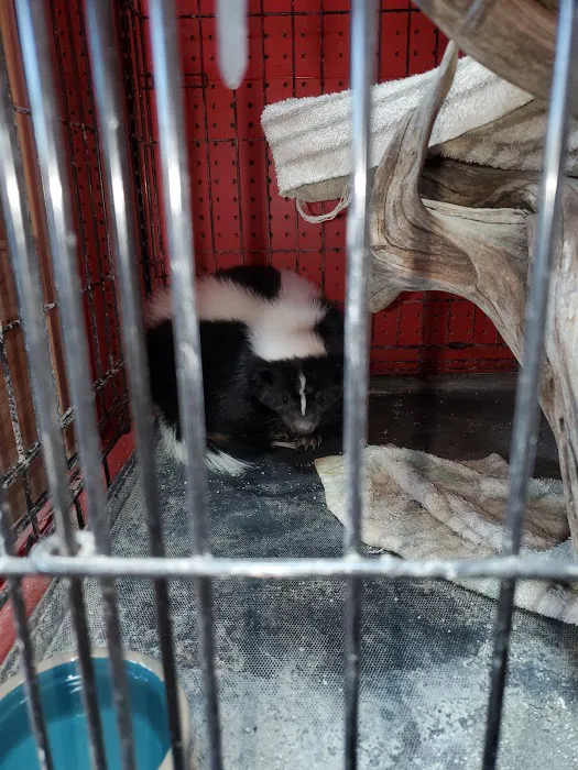 Adam's Pet Shop Picture 10