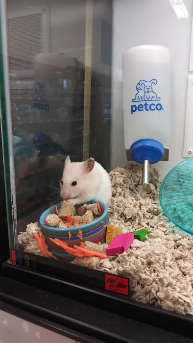 Petco Picture 1