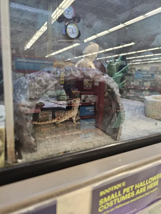 Petco Picture 3