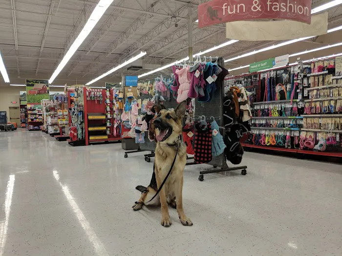 Petco Picture 9
