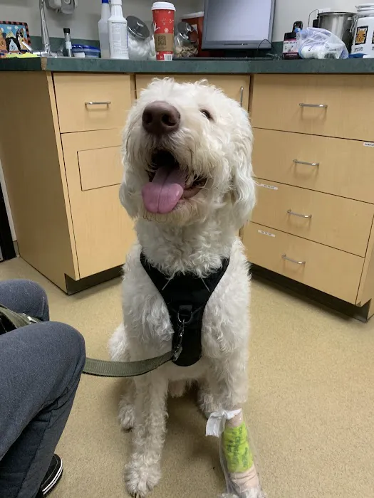 Newton Veterinary Hospital Picture 6