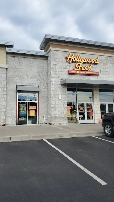 Hollywood Feed Picture 4